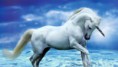 /album/fenykepgaleria/a470-unicorn3-jpg/