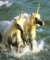 /album/fenykepgaleria/images-jpg/